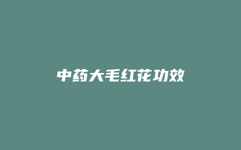 中药大毛红花功效