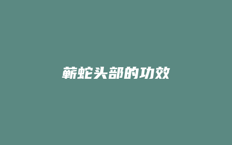 蕲蛇头部的功效