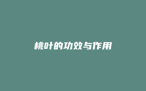 桃叶的功效与作用