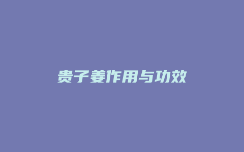 贵子姜作用与功效