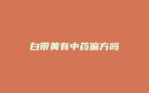 白带黄有中药偏方吗