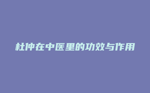 杜仲在中医里的功效与作用