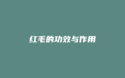 红毛的功效与作用