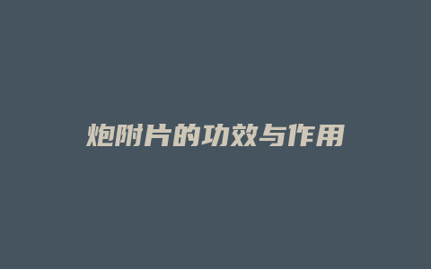 炮附片的功效与作用