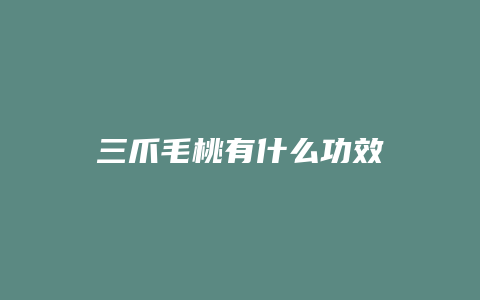 三爪毛桃有什么功效