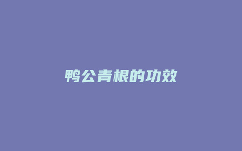 鸭公青根的功效