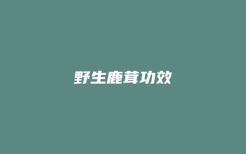 野生鹿茸功效