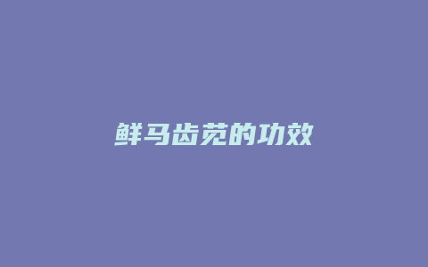 鲜马齿苋的功效