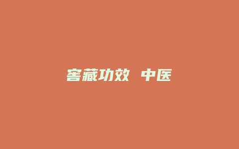 窖藏功效 中医