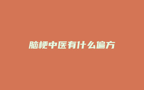 脑梗中医有什么偏方